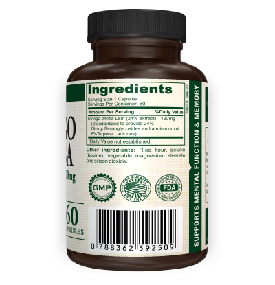 Ginkgo Biloba - Supplement Ingredients