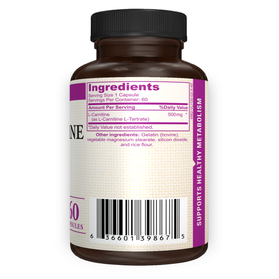 L- Carnitine - Supplement Ingredients
